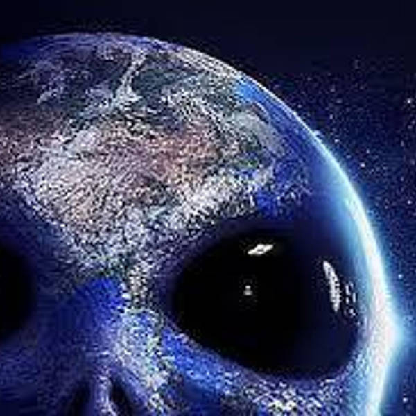 14: The Consciousness Architect.