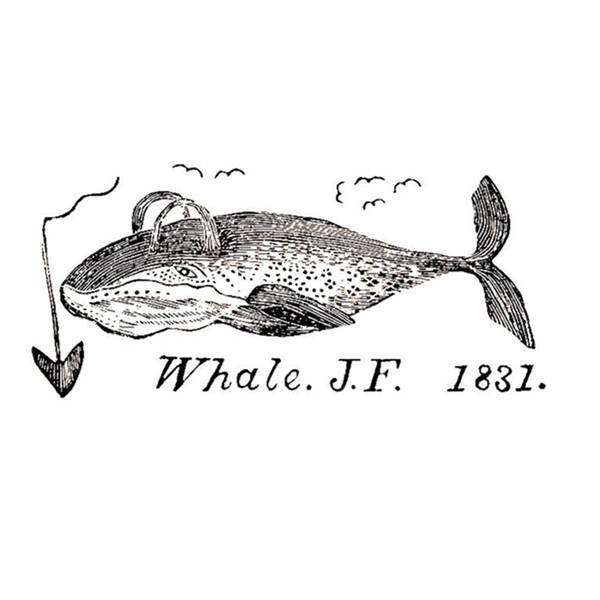251: Thar She Blows: The History of Whales and America