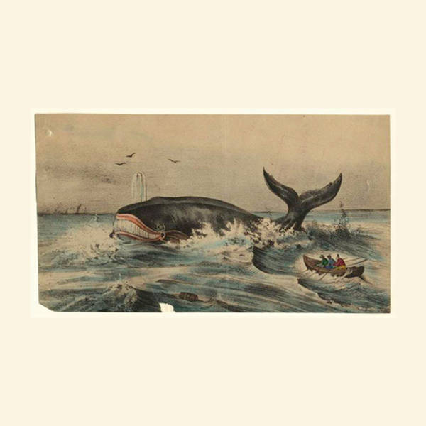 252: Thar She Blows Again: The History of Whales and America (Part 2)
