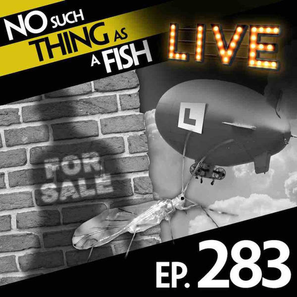 283: No Such Thing As A Lost Shadow