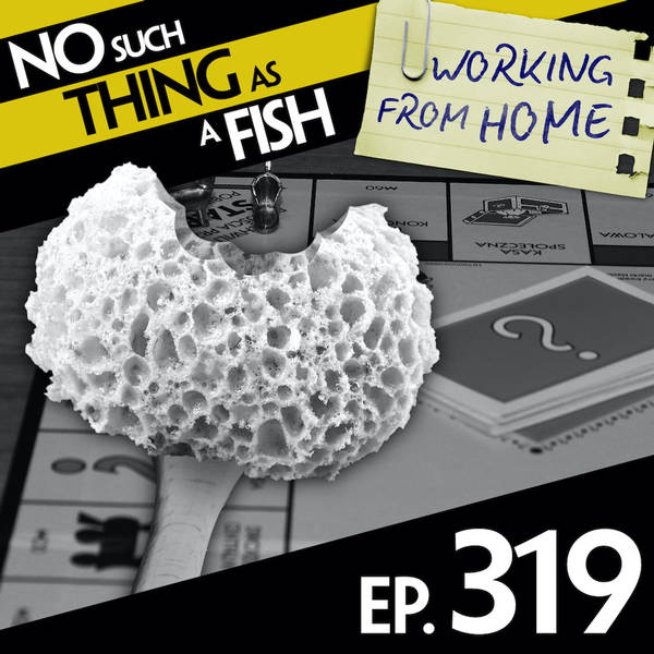 No Such Thing As 19th Century Feudal Japanese Monopoly