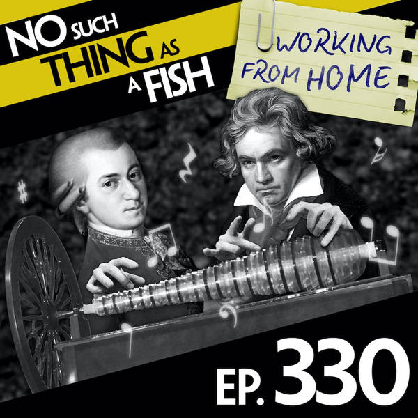 No Such Thing As An Antarctic Vindaloo