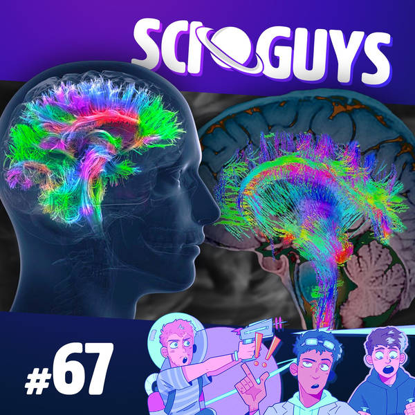 67: The Science of Synesthesia