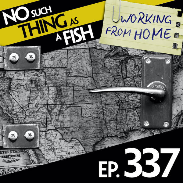 No Such Thing As A Triangular Rectangle