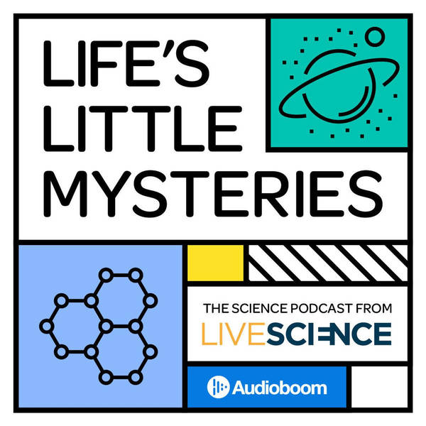 1: Introducing... Life's Little Mysteries