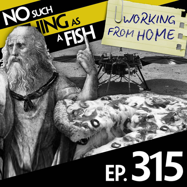 No Such Thing As Tedious Moss