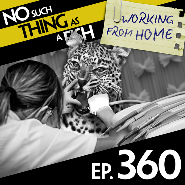 No Such Thing As May Pole Syrup