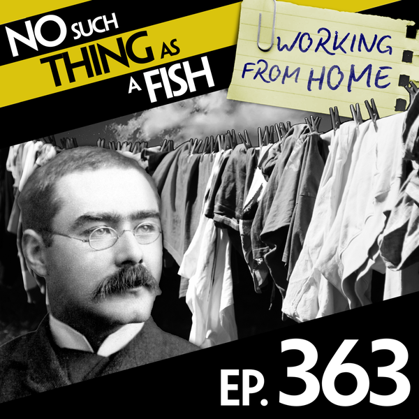 No Such Thing As A Squiggly Pineapple