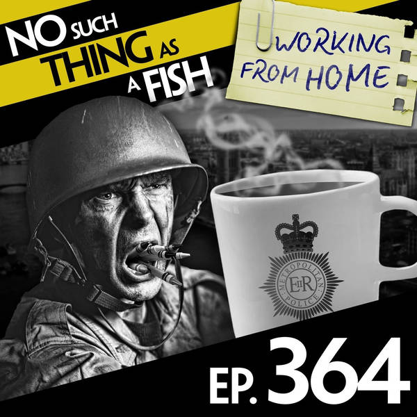 No Such Thing As Kylie Minnow