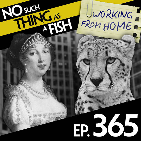 No Such Thing As A Smart Cheetah At Harvard