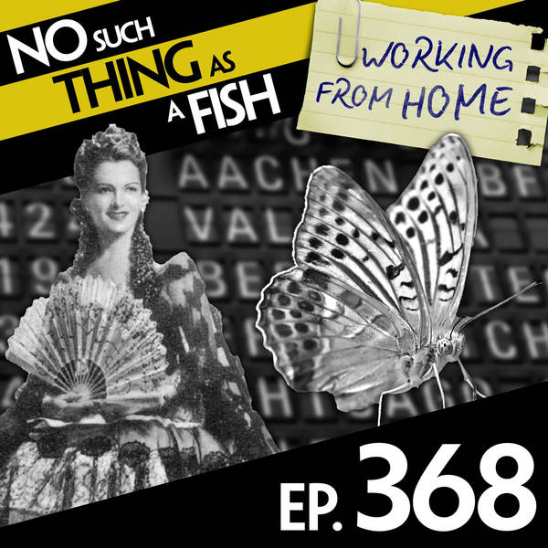 No Such Thing As The Knipper And The Corpse