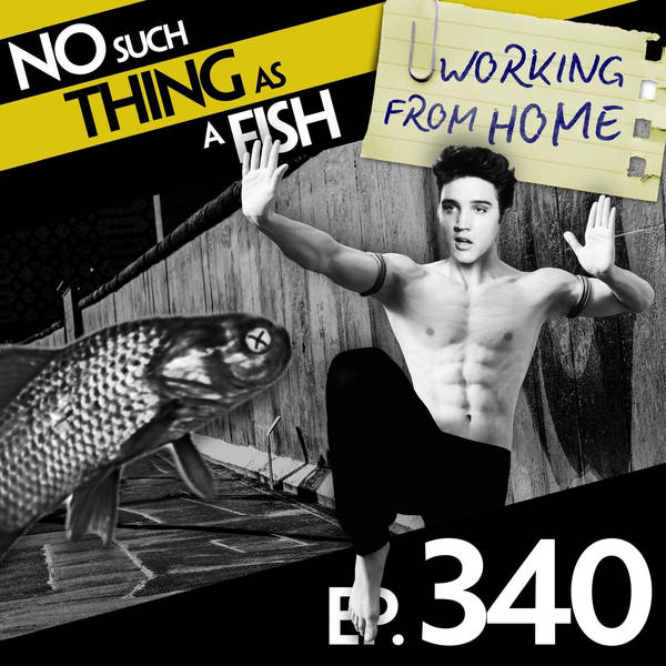 No Such Thing As A Didgeridoo in a Bar