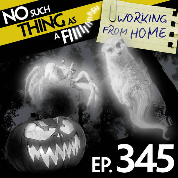 No Such Thing As A Sideways Treadmill