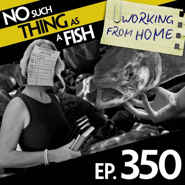 No Such Thing As Tickling Baseball Players