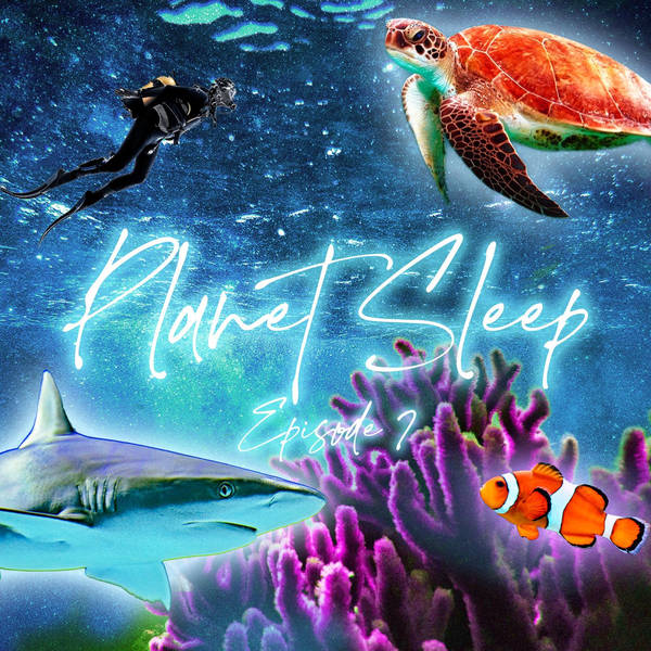 8: Moonlit Dive In The Great Barrier Reef