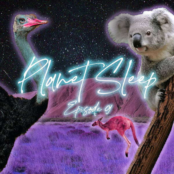 10: The Wild Australian Outback