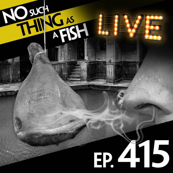 No Such Thing As Tiddlywinks In The Wild West