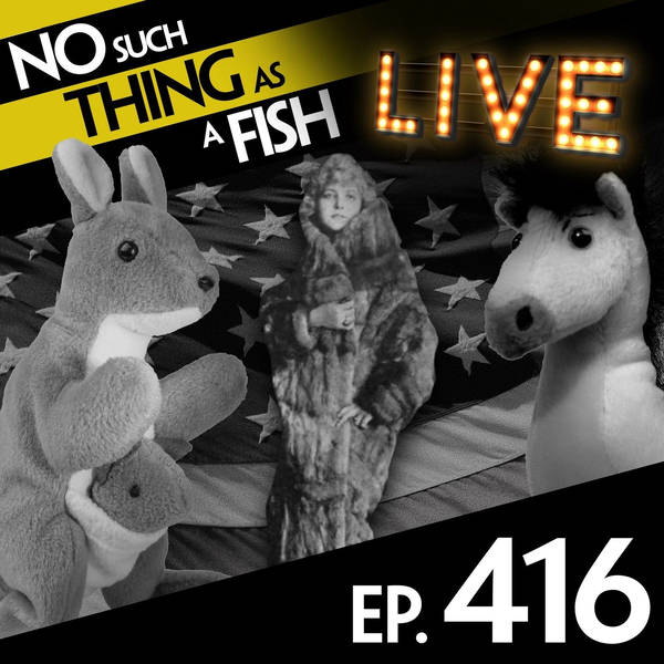 No Such Thing As The Turin Towelette