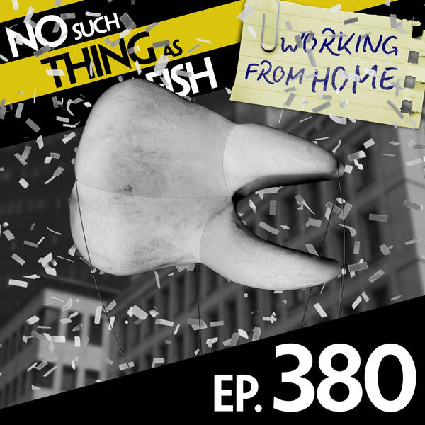 No Such Thing As The Virgin Mary Toast Reunion Tour