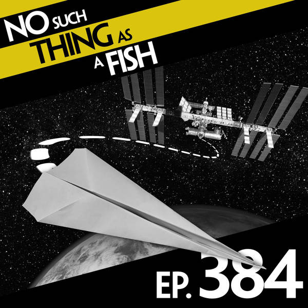 384: No Such Thing As Jiminy's Cricket Shop