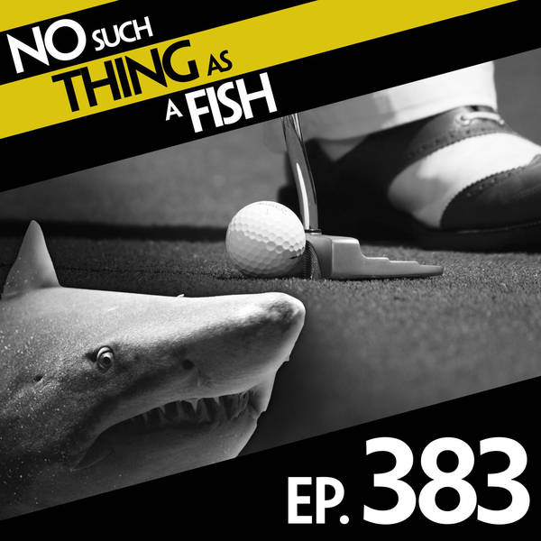 No Such Thing As A Mead-Based Maasai Gameshow