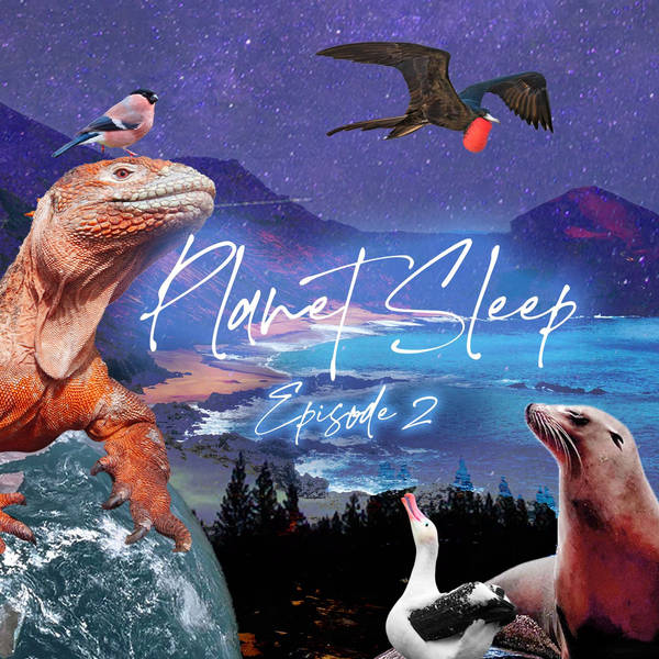 3: Sunset Over The Galápagos Islands