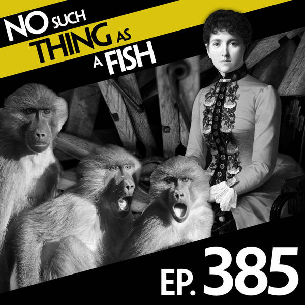 385: No Such Thing As Crossing the Futility Boundary