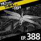 388: No Such Thing As A Danquito