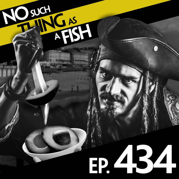 434: No Such Thing As Robinson Two-Soe
