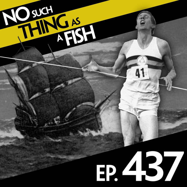 No Such Thing As A Face Mite With A Laptop