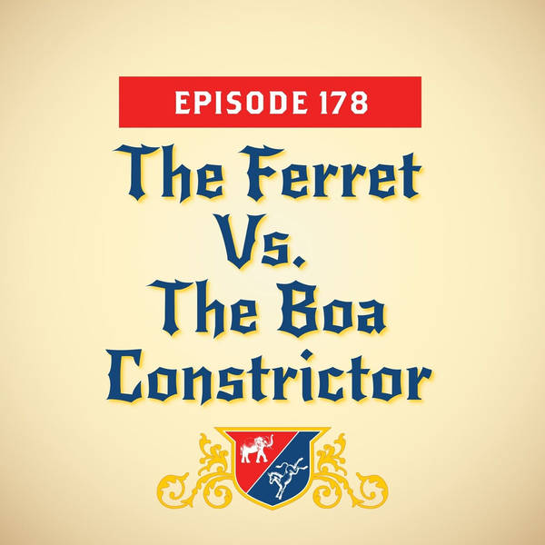 The Ferret Vs. The Boa Constrictor (with Maggie Haberman)