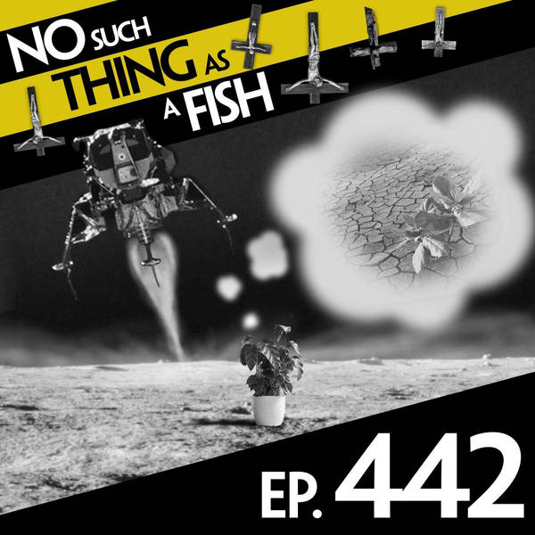 442: No Such Thing As Borkenstein's Monster