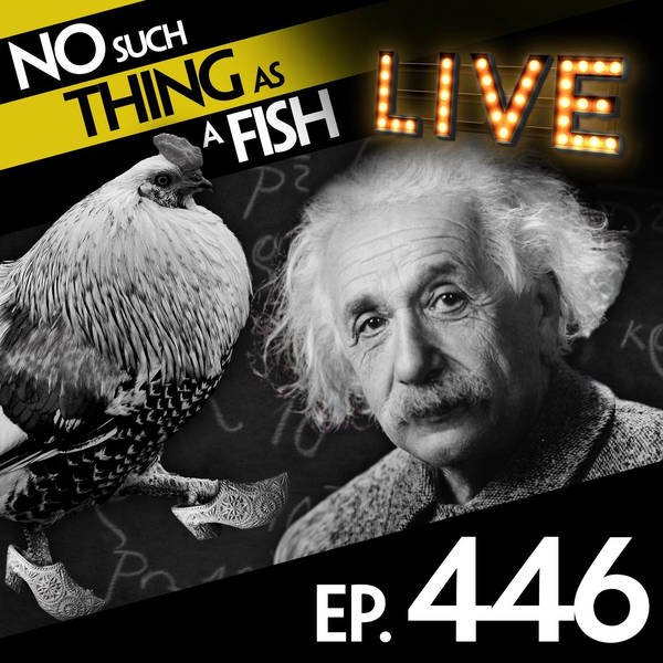 No Such Thing As A Ninja Wearing Clogs