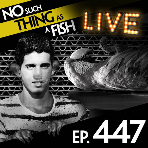 447: No Such Thing As A Rabbit-Cabbage Hybrid