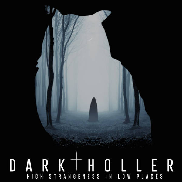 486: The Dark Holler
