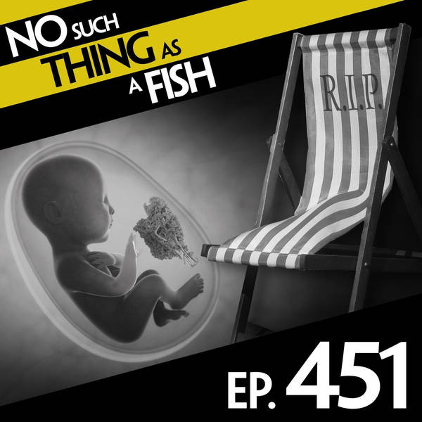 No Such Thing As Deckchair Wrestling