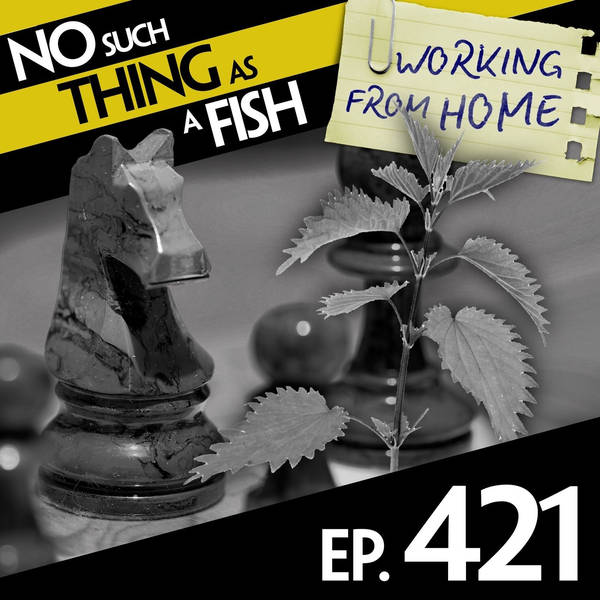 S1 Ep421: No Such Thing As An Elephant On A Chessboard