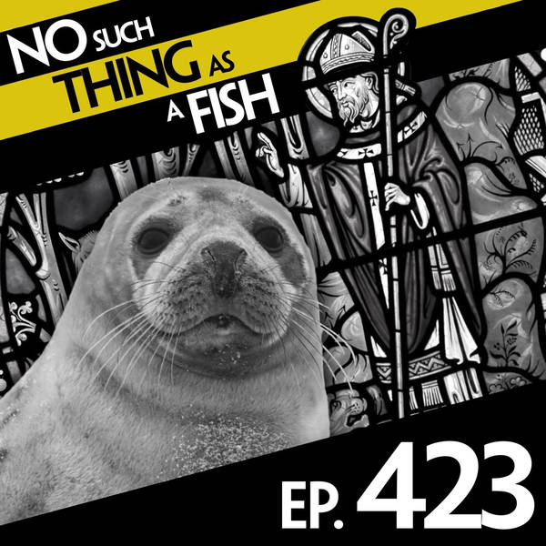 No Such Thing As A Seminole Sorting Hat