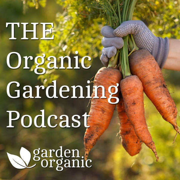 S2 Ep45: August - Organic Allotment Special with Rekha Mistry