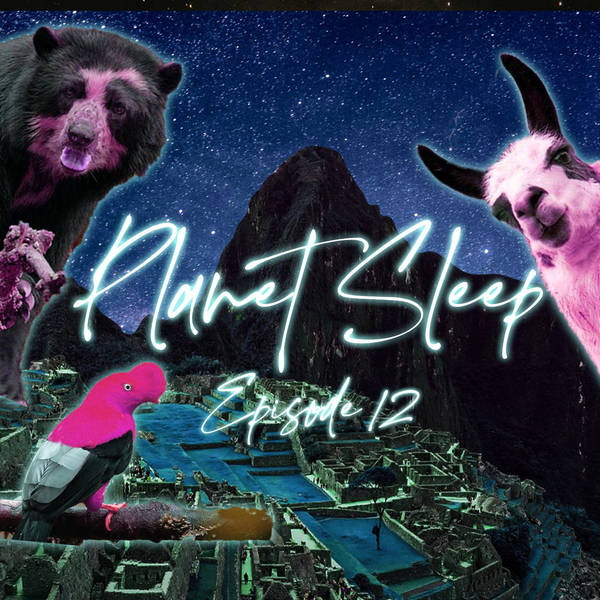 13: A Relaxing Night Hike To Machu Picchu