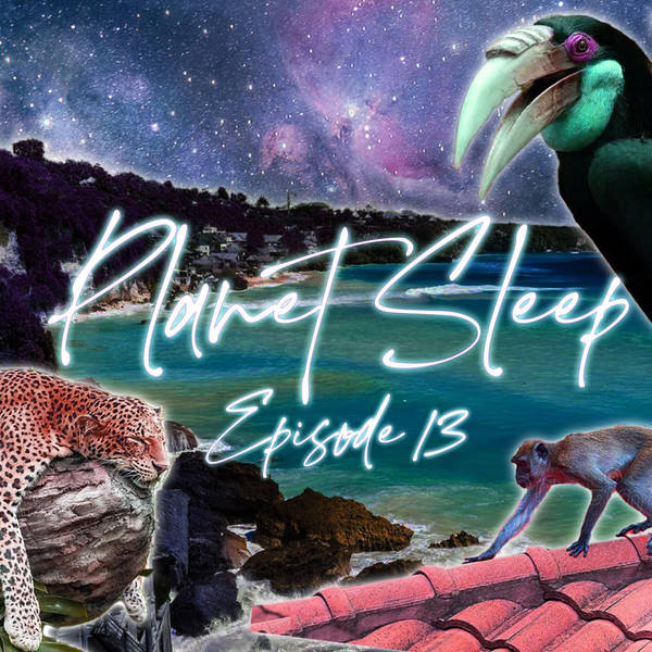 14: A Sleepy Stroll Through Bali