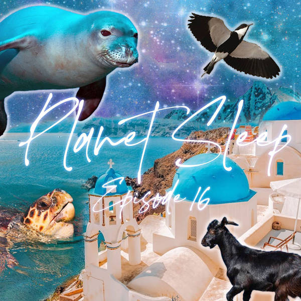 17: A Magical Evening In Ancient Greece