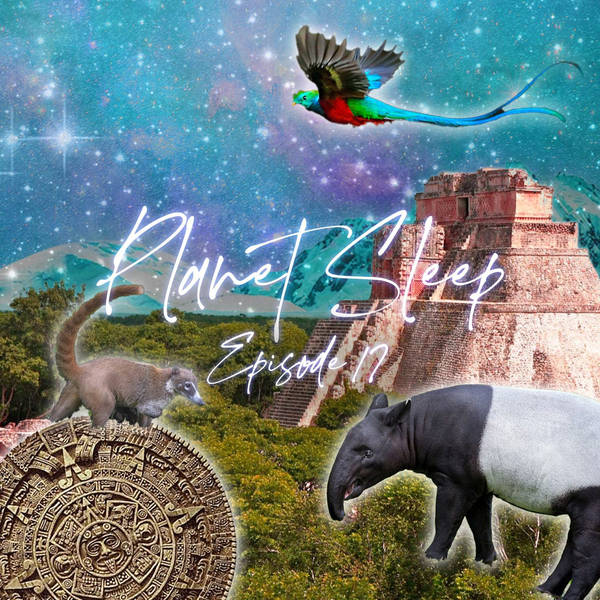 18: Magnificent Yucatan Adventure