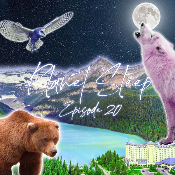 21: Exploring The Beautiful Banff National Park