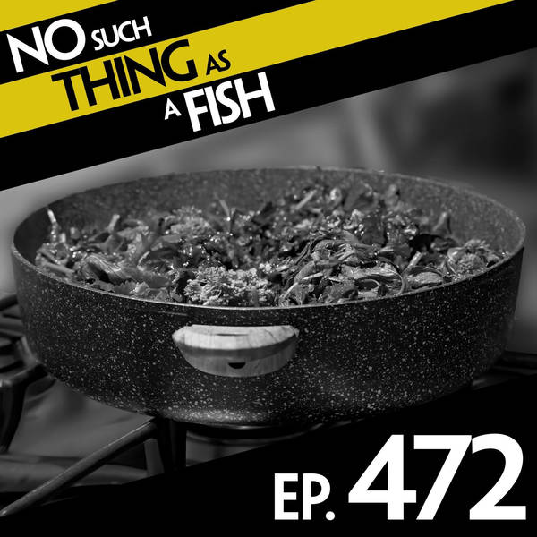 No Such Thing As A Giant Otter In H&M