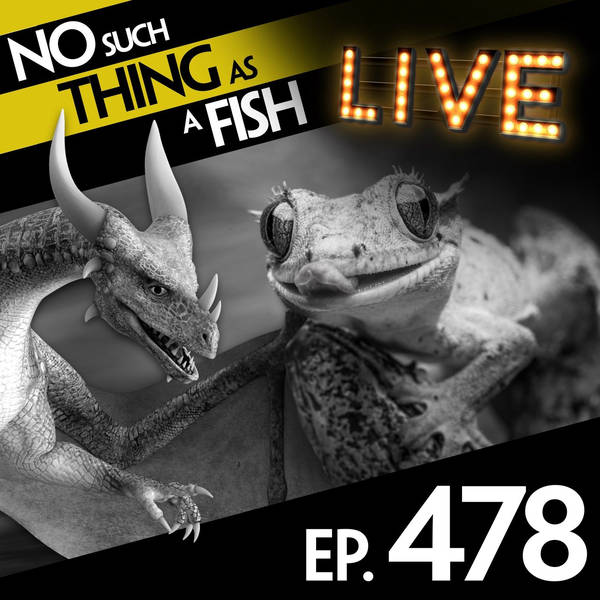 No Such Thing As An Award-Winning Gecko