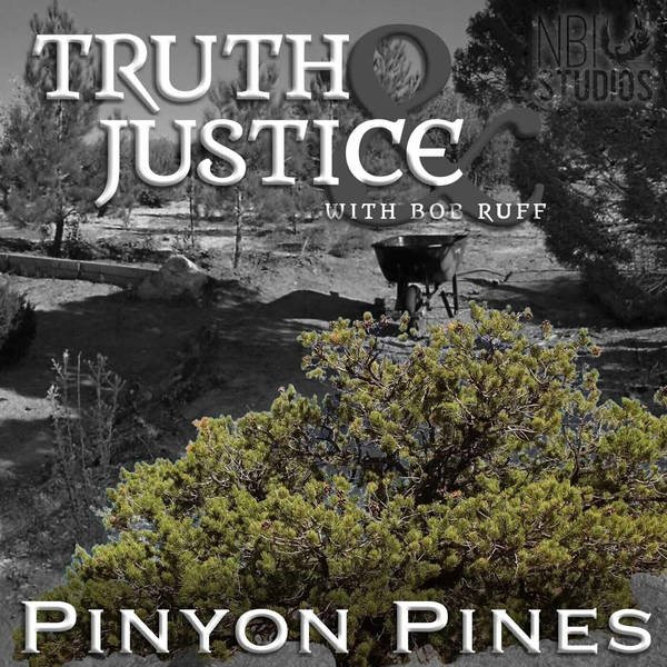 S12 Ep13: Pings