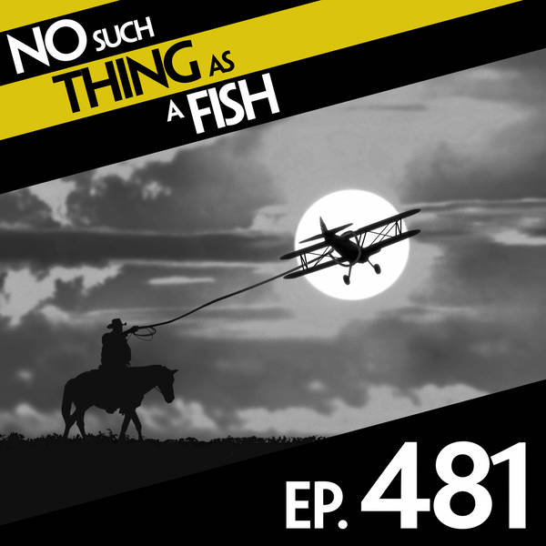 481: No Such Thing As Taming A Plane