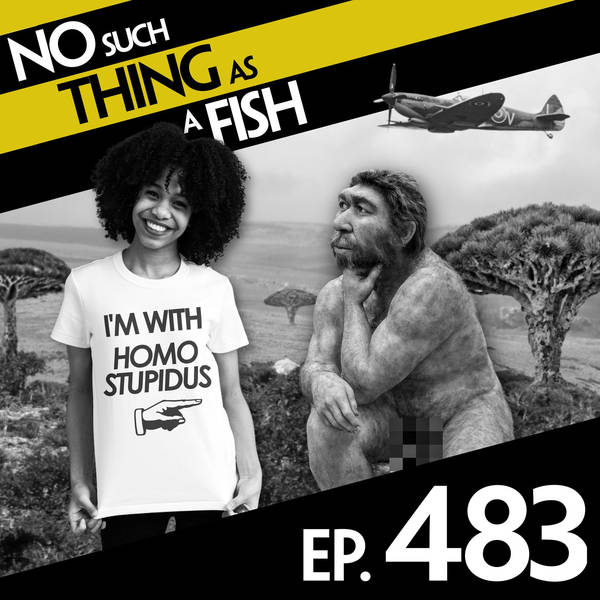 483: No Such Thing As Rivets On A Tombstone