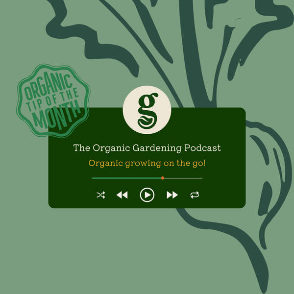 S2 Ep13: September - Chris talks to garden historian, Caroline Holmes, & we share tips for new growers to keep the interest through the autumn